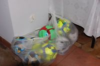 Ekoimpresje 2016 - podsumowanie konkursu