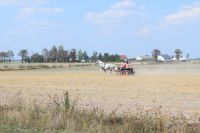 II Moto Piknik Pojazdów Zabytkowych w Łaziskach, fot. Paweł Dutkiewicz