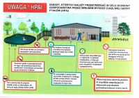 Ptasia grypa - infografika