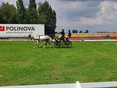 Mistrzostwa Powiatu Wągrowieckiego w powożeniu zaprzęgami konnymi
