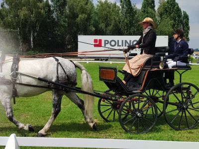 Mistrzostwa Powiatu Wągrowieckiego w powożeniu zaprzęgami konnymi