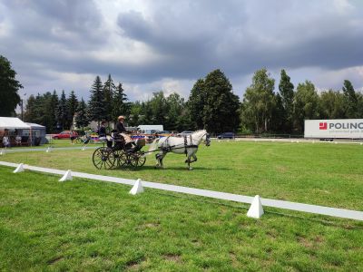 Mistrzostwa Powiatu Wągrowieckiego w powożeniu zaprzęgami konnymi