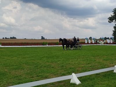 Mistrzostwa Powiatu Wągrowieckiego w powożeniu zaprzęgami konnymi