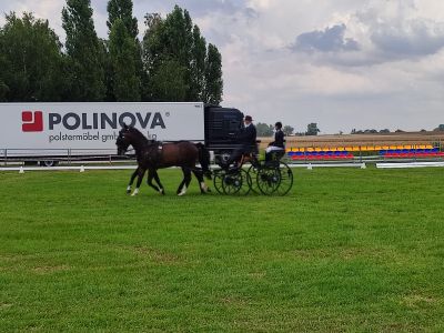 Mistrzostwa Powiatu Wągrowieckiego w powożeniu zaprzęgami konnymi