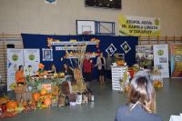 Krystyna Konecka - Zespół Szkół im. Karola Libelta w Gołańczy i Młodzieżowy Ośrodek Socjoterapii im. Kompanii Gołanieckiej