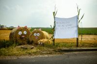 Dożynki Gminne w Gminy Damasławek w Mokronosach - relacja zdjęciowa z wydarzenia