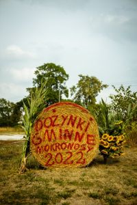 Dożynki Gminne w Gminy Damasławek w Mokronosach - relacja zdjęciowa z wydarzenia