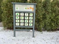 Ścieżka edukacyjna w Młodzieżowym Ośrodku Socjoterapii w Gołańczy