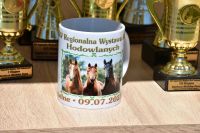 XXV Regionalna Wystawa Koni Hodowlanych w Popowie Kościelnym - relacja zdjęciowa