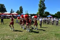 XXV Regionalna Wystawa Koni Hodowlanych w Popowie Kościelnym - relacja zdjęciowa