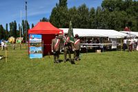 XXV Regionalna Wystawa Koni Hodowlanych w Popowie Kościelnym - relacja zdjęciowa