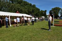 XXV Regionalna Wystawa Koni Hodowlanych w Popowie Kościelnym - relacja zdjęciowa