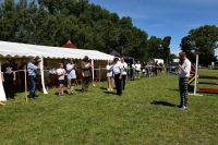 XXV Regionalna Wystawa Koni Hodowlanych w Popowie Kościelnym - relacja zdjęciowa