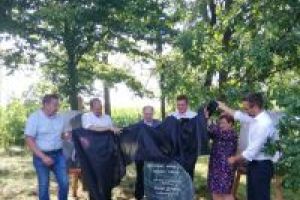 VIII Regionalny Festiwal Polskiej Piosenki im. Ireny Jarockiej w Wapnie - relacja zdjęciowa