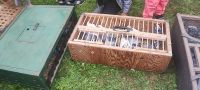 Doroczne Święto Latawca w Parku 600-lecia w Wągrowcu - relacja zdjęciowa