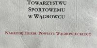 Turniej z okazji 40-lecia Wągrowieckiej Ligi Piłki Siatkowej