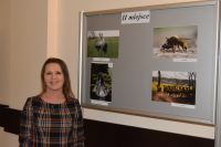 Podsumowanie Powiatowego Konkursu Fotograficznego "Wolnożyjące zwierzęta w Powiecie Wągrowieckim"