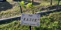 Jubileusz 645 lat Zbietki