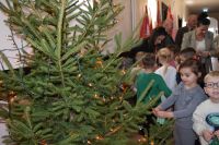 Rybki udekorowały choinkę w starostwie