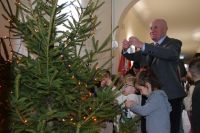 Rybki udekorowały choinkę w starostwie