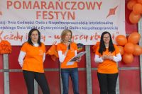 Pomarańczowy Festyn w Skokach