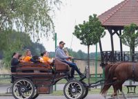 Pomarańczowy Festyn w Skokach