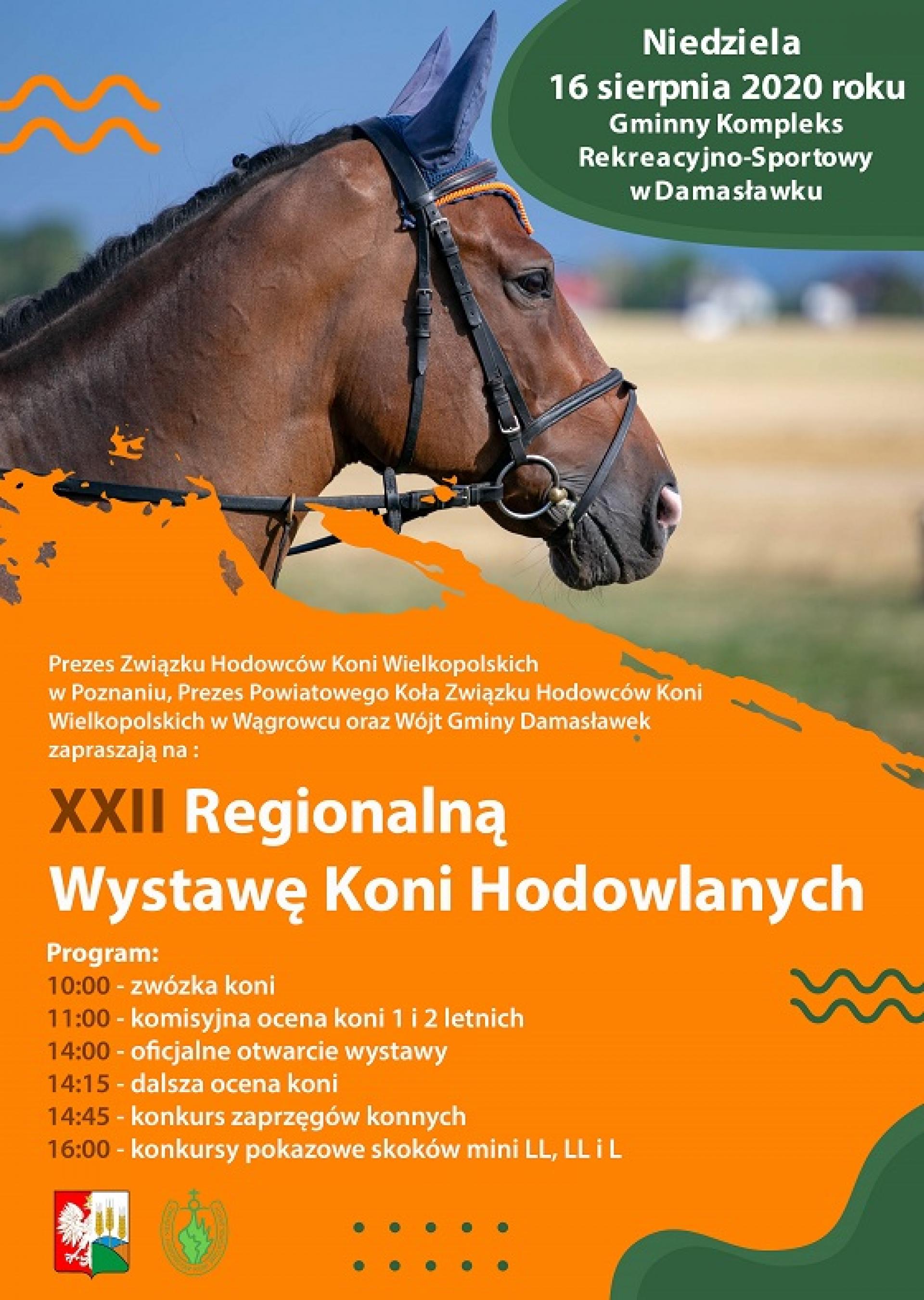 XXII Regionalna Wystawa Koni Hodowlanych