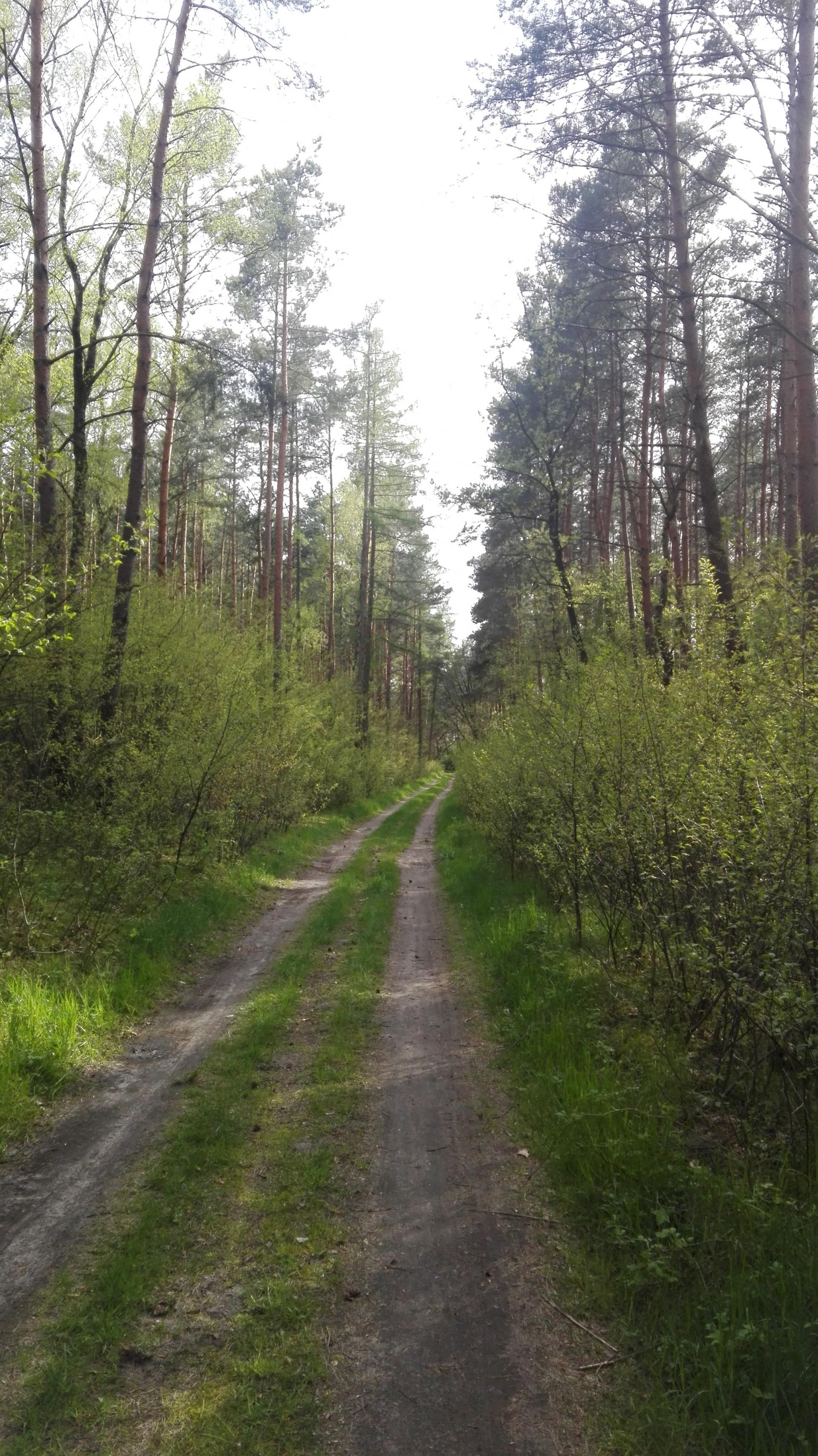 Informacja dla właścicieli lasów
