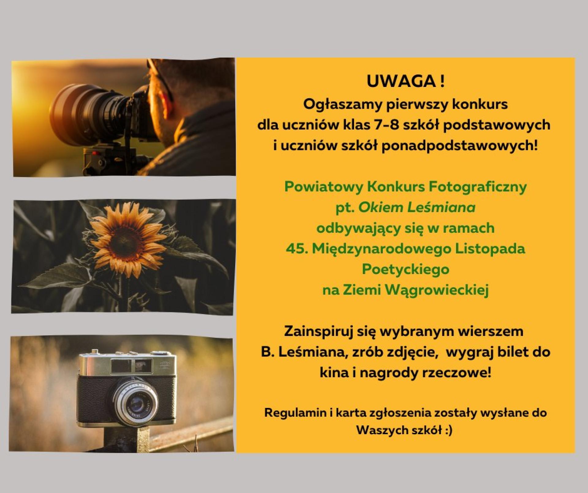 Powiatowy Konkurs Fotograficzny pt. "Okiem Leśmiana"