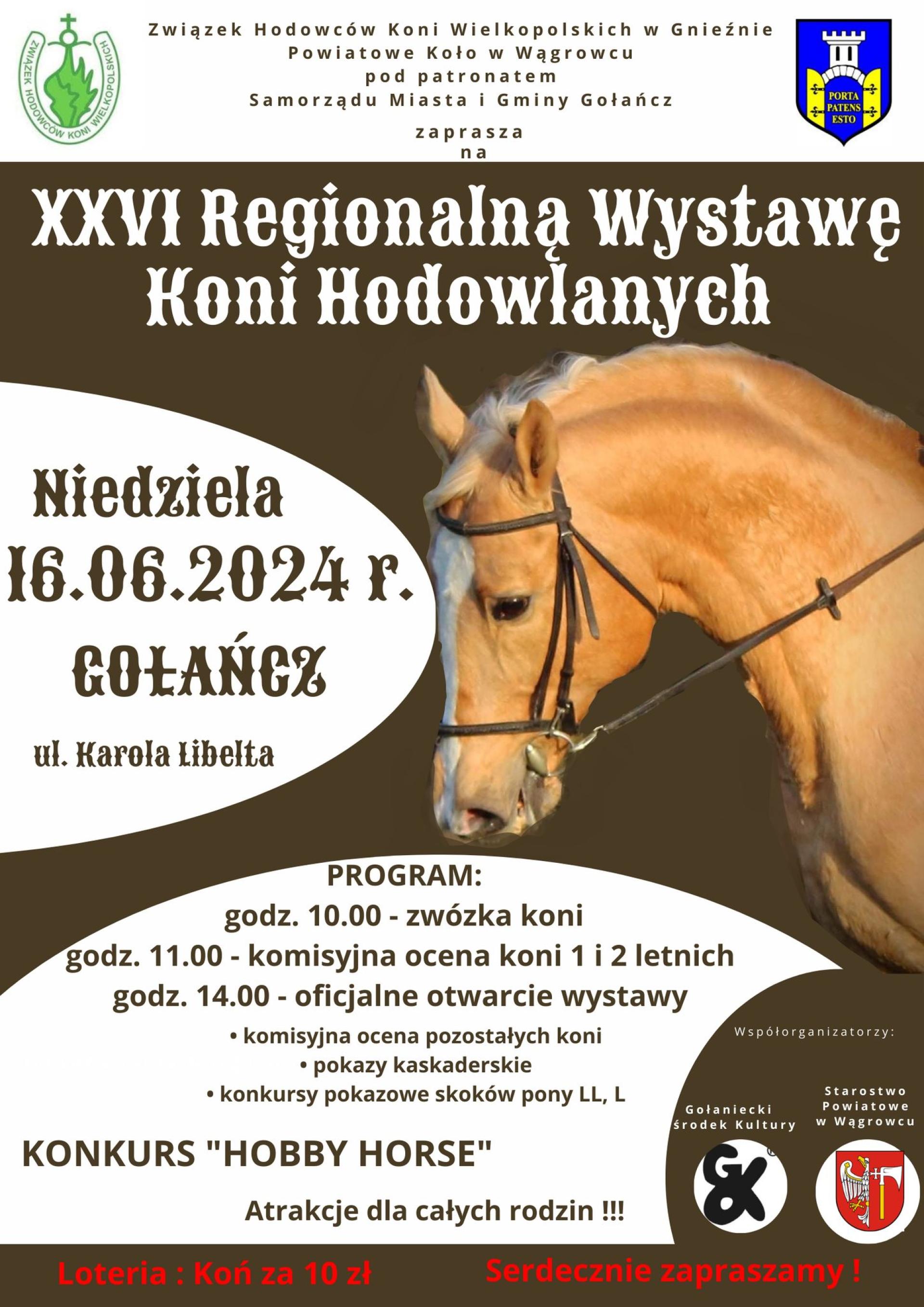 XXVI Regionalna Wystawa Koni Hodowlanych
