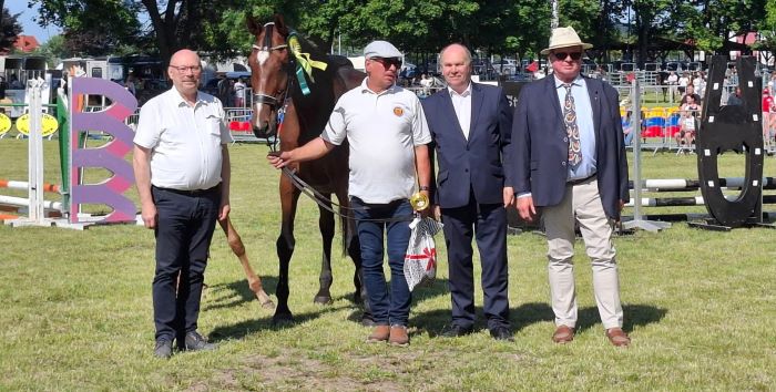 XXVII Regionalna Wystawa Koni Hodowlanych