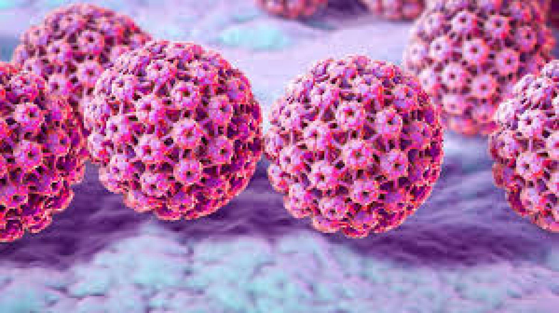 Program szczepień przeciw wirusowi brodawczaka ludzkiego (HPV) w szkołach