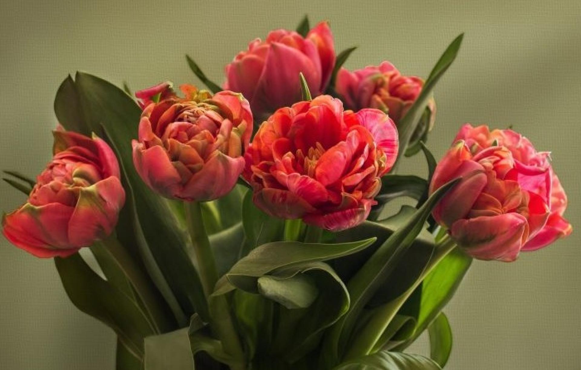 27 stycznia - Dzień Pracownika Publicznych Służb Zatrudnienia