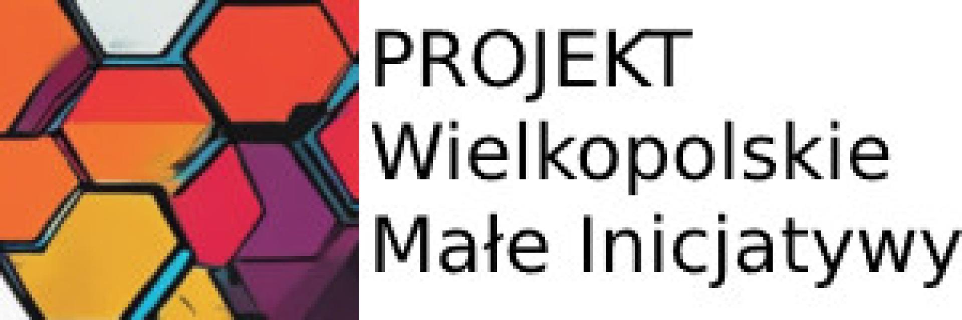 Spotkanie dot. konkursu Wielkopolskie Małe Inicjatywy